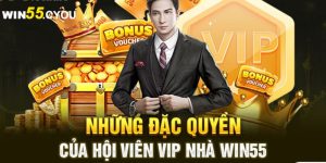 Đặc quyền hội viên VIP – Đẳng cấp tạo nên sự khác biệt