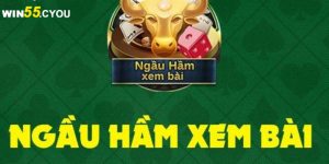 Ngầu hầm xem bài – Cách chơi đơn giản nhưng thắng cực lớn