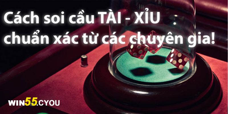 Các cách soi cầu tài xỉu để tăng cơ hội chiến thắng dành cho bạn