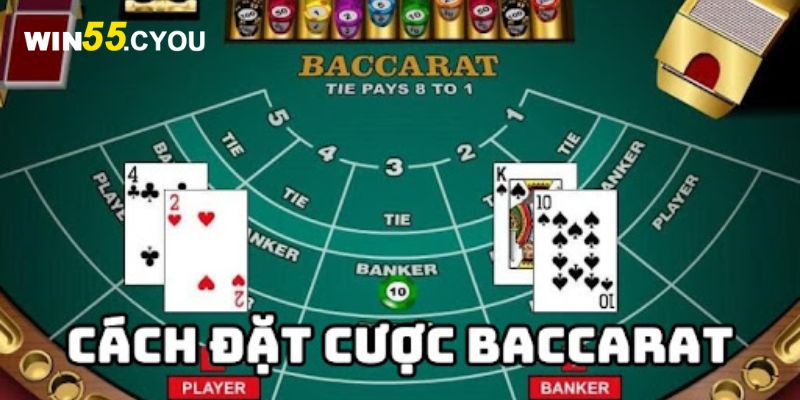 Các thuật ngữ cơ bản được sử dụng trong game baccarat