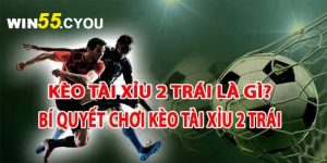 Cách chơi tài xỉu 2 trái ăn thông cả bảng cược