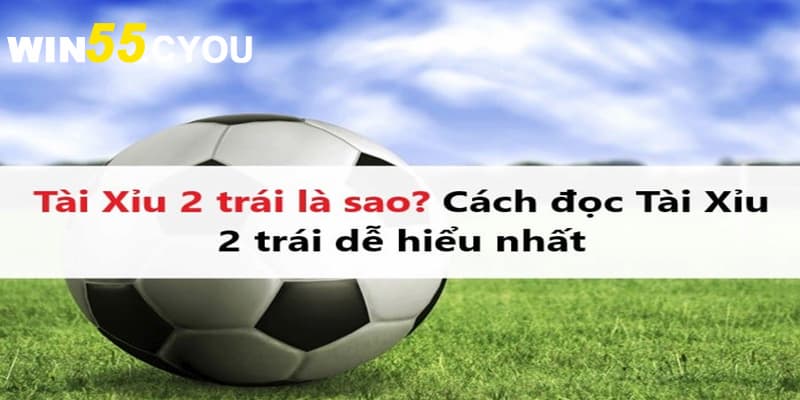 Cách Chơi Tài Xỉu 2 Trái như thế nào?