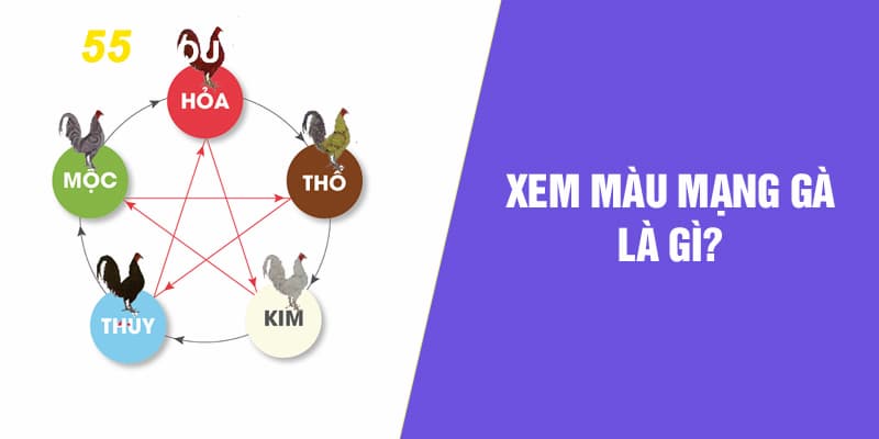 Ứng dụng của Cách Xem Màu Mạng Gà Đá