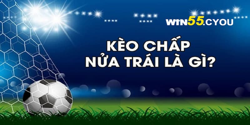 Kèo chấp 1/2 là gì và lời giải đáp chi tiết từ Win55