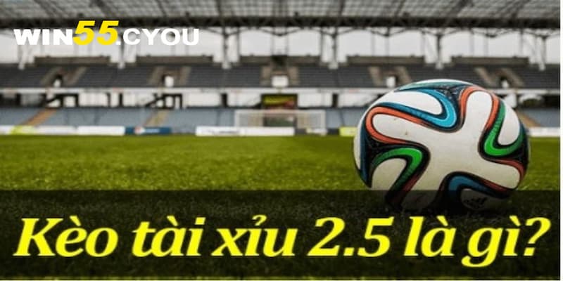 Kèo tài xỉu 2.5 là gì?