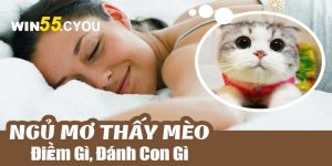 Mộng gặp phải mèo nên đánh con số nào để giàu sang phú quý