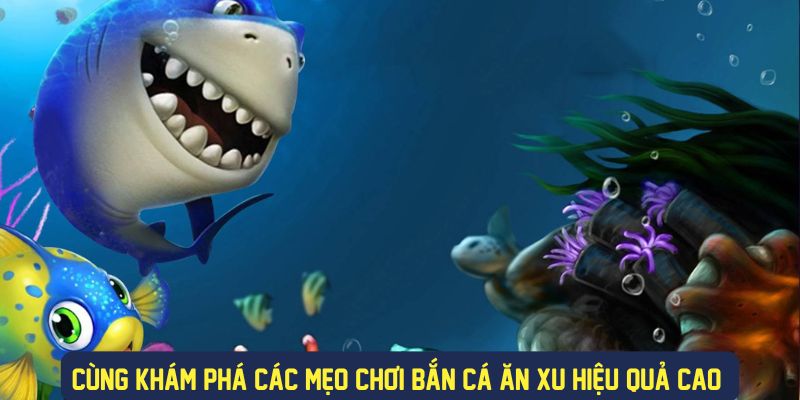 Mẹo chơi bắn cá ăn xu hiệu quả lớn