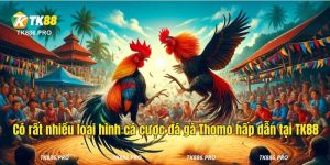 Đá Gà Thomo TK88 - Nơi Diễn Ra Những Trận Đấu Mãn Nhãn Đỉnh Cao